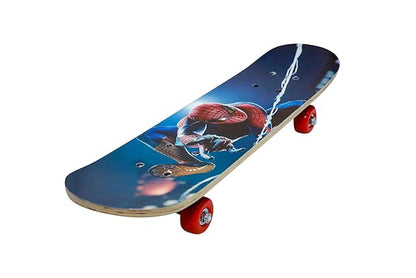 SKATE BOARD